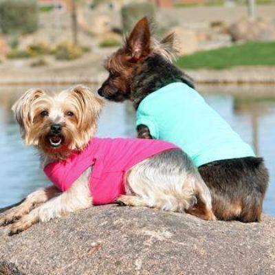 Two small dogs wearing colorful shirts by a body of water.