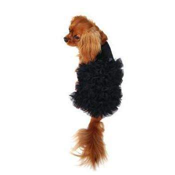 Designer Dog Clothes - Dog Shirts, Dog T-Shirts, Dog Tank Tops – TeaCups,  Puppies & Boutique