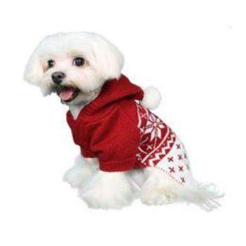 Reese Hoodie Dog Sweater.