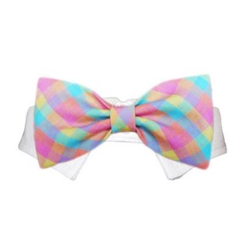 Riley Shirt Collar & Bow Tie.