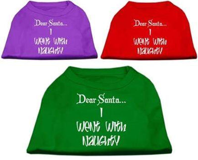 Dear Santa I Went with Naughty T-Shirt.