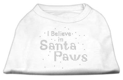 I Believe in Santa Paws Shirt.