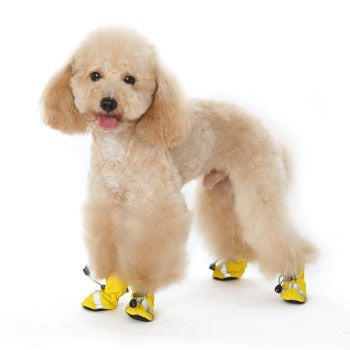 Slip On Paws V.