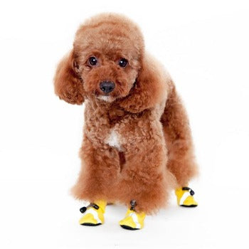 Slip On Paws V.