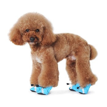 Slip On Paws V.