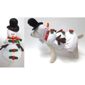 Snowman Costume.