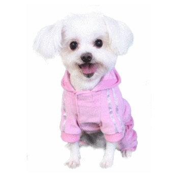 Teddy Jumper Dog Track Suit - Pink.