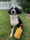 Power Plush Dog Toy - Bad Dog Tequila.
