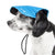 'Cap-tivating' UV protectant Adjustable Fashion Dog Hat Cap