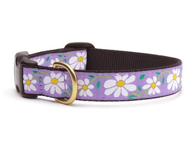 Daisy Collar & Leash Collection