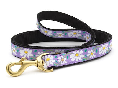 Daisy Collar & Leash Collection