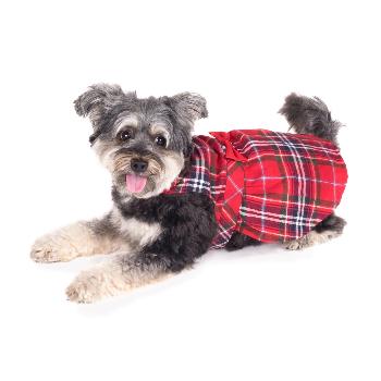 Red Plaid Dress.