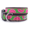 Watermelon Collar & Leash Collection.