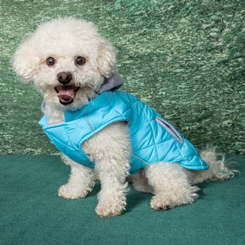 Weekender Dog Sweatshirt Hoodie - Light Blue.
