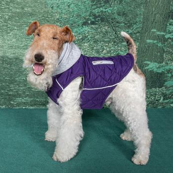 Weekender Dog Sweatshirt Hoodie - Purple.