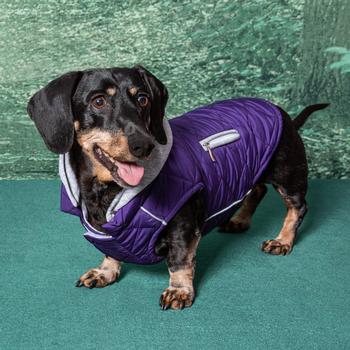 Weekender Dog Sweatshirt Hoodie - Purple.