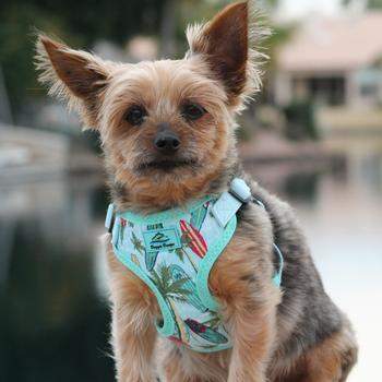 Wrap & Snap Choke Free Dog Harness - Surfboards & Palms.