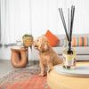 Zoop Pet Odor Eliminating Non-Toxic Scented Reed Diffuser