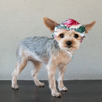 Tropical Island Hat.