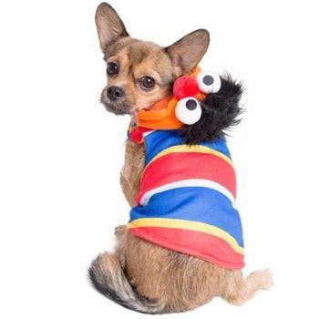 Small dog wearing a soft, striped Ernie hoodie with an attached character hood featuring plush eyes and hair.