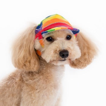 Rainbow Hat.