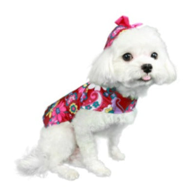 Small white dog wearing a colorful floral raincoat with a pink bow on a white background
