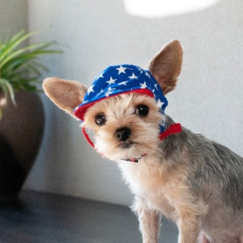 Star Hat.