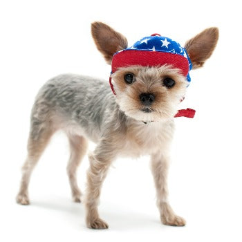 Star Hat.