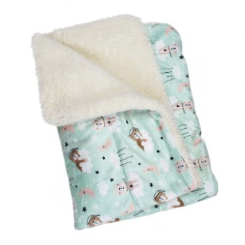 Ultra Soft Minky/Plush Bedtime Bears Blanket.