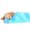 Blanket Dog Bed.