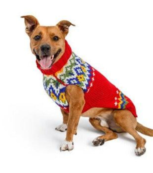 Brown dog wearing a red, hand-knit organic wool Fairisle sweater with colorful geometric patterns on white background