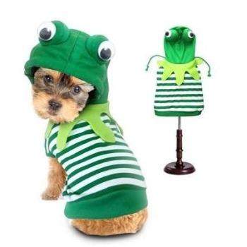 Frog Costume.